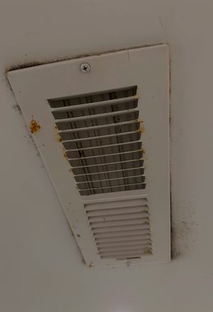 Basement Mold Remediation — Manitowoc, WI