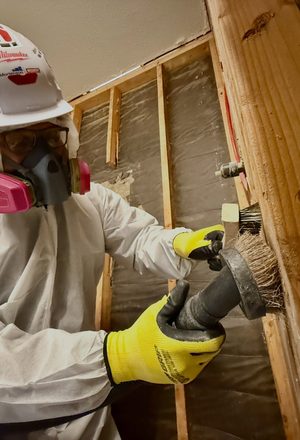 Whole-Home Mold Remediation — Manitowoc County, WI