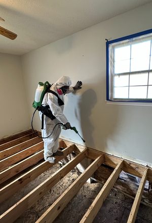 Crawl Space Mold Removal — Two Rivers, WI
