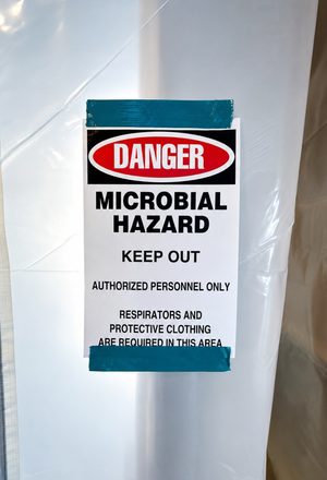 Attic Mold Treatment — Valders, WI