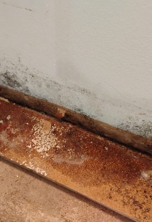 Post-Flood Restoration — Kiel, WI