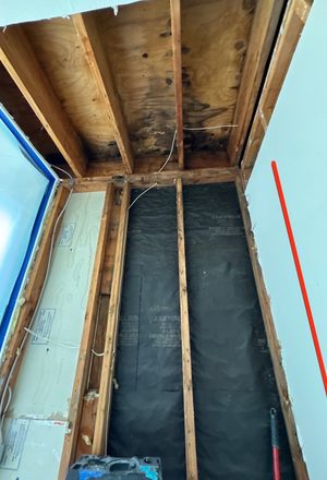 Bathroom Mold Remediation — Manitowoc, WI