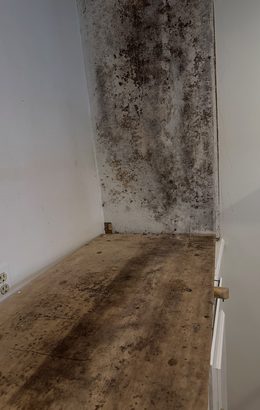 Mold remediation work in progress