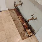 Mold remediation for rentals