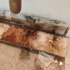 Mold remediation for offices