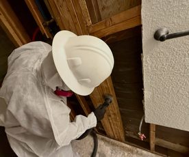 Mold Inspections in Manitowoc, WI