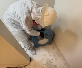 Residential Mold Removal in Manitowoc, WI
